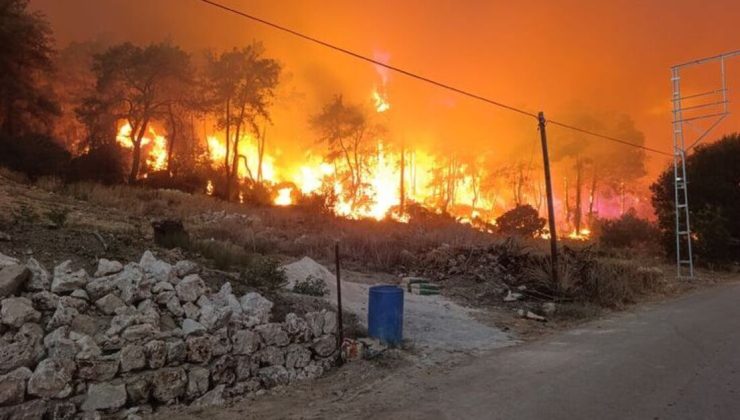 Adana ve Antalya’da orman yangını