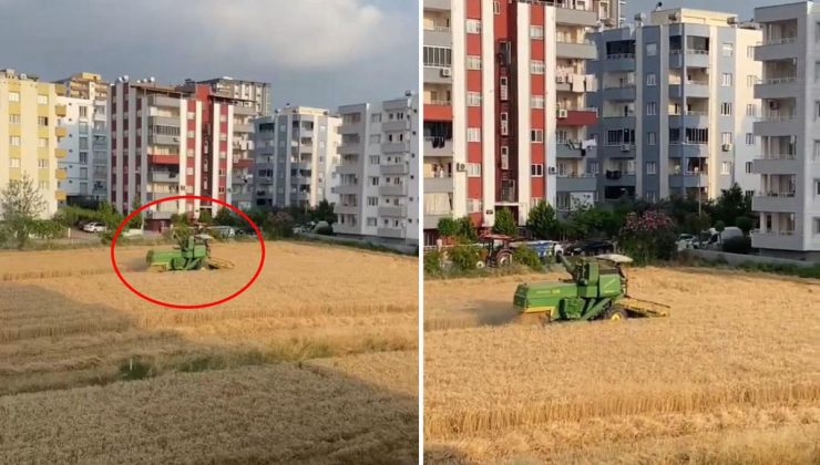 Apartmanların gölgesinde hasat! Arazisini isteyen müteahhitlere tek cümlelik yanıt veriyor