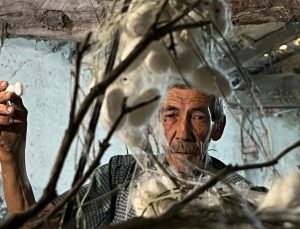 Evinin altında ipek böceği yetiştirerek 40 günde 216 bin TL kazandı