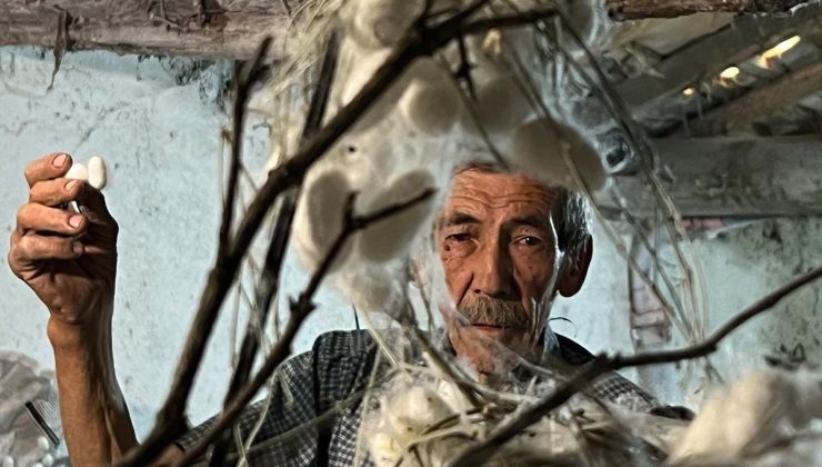 Evinin altında ipek böceği yetiştirerek 40 günde 216 bin TL kazandı