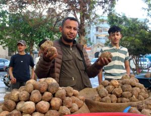 Görüntüsü patates gibi olsa da lezzeti çok başka: Kilosu 2 bin TL’den kapış kapış gidiyor