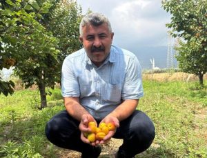 Mühendis tavsiyesiyle başladı, şimdi paraya para demiyor: Yurt dışından büyük talep var