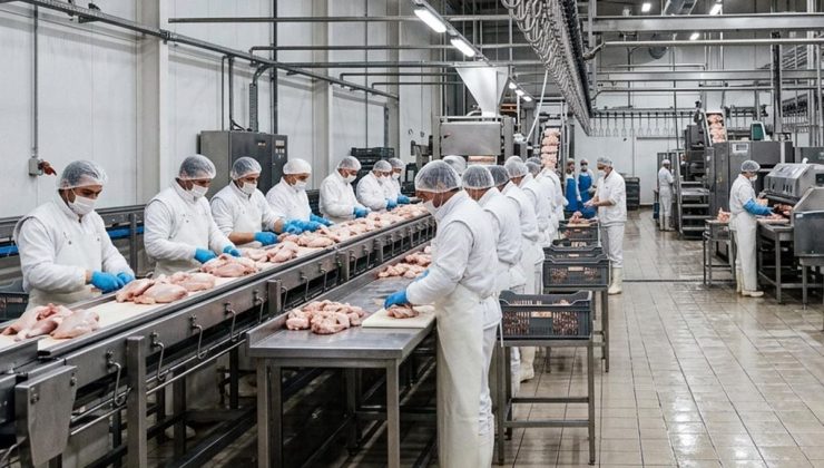 Tavuk firmalarına denetim kayyumu atanmasıyla ilgili başsavcılıktan açıklama
