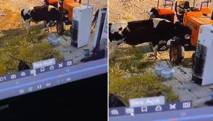 Yer: Konya! Görüntüsü olmasa kimsenin inanmayacağı bir olay daha