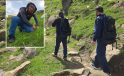 Zorlu yollara aldırmadan dik yamaçlara tırmanıp çiriş otu topluyorlar