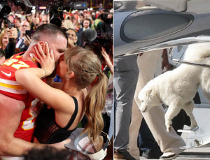 İşte Taylor Swift ve Travis Kelce’nin sır gibi sakladığı köpeği!
