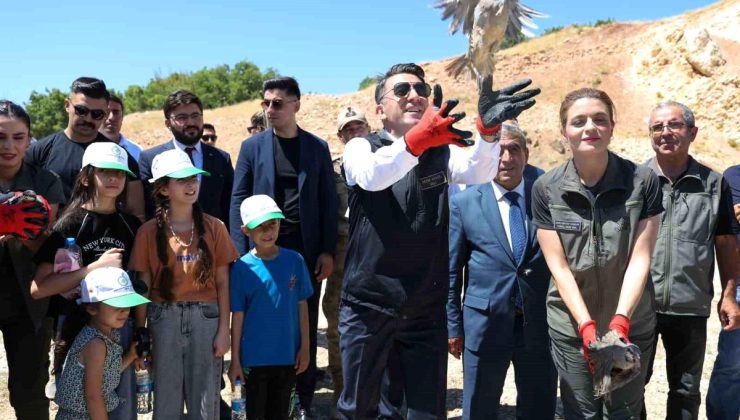 Kenelere karşı mücadele sürüyor: Tunceli’de 500 kınalı keklik doğaya salındı