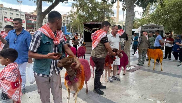 853 Yıllık Gelenek: Sudan Koyun Geçirme ve Çoban Bayramı Öncesi Renkli Kortej