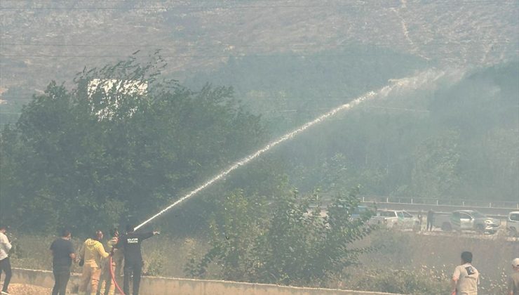 Bilecik’te orman yangını kontrol altına alındı