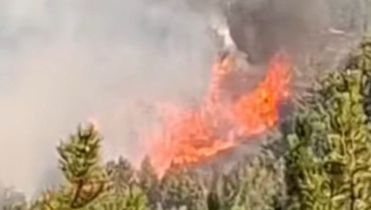 Bolu Göynük’te Orman Yangını: Havadan ve Karadan Müdahale Sürüyor