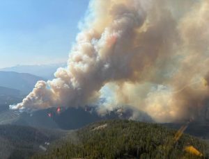 British Columbia’da Orman Yangınları Nedeniyle Acil Durum İlan Edildi