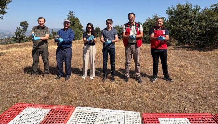 Gördes’te Çomaklı Dağı’na 500 keklik salındı