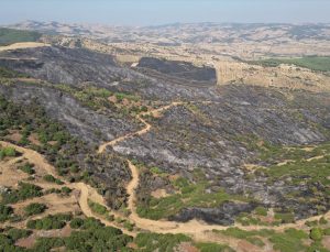 Kula’da yangın sonrası hasar dronla görüntülendi