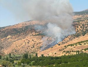 Malatya’da Tarım Arazisinden Ormana Sıçrayan Yangın Kontrol Altına Alındı