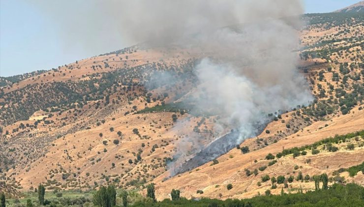 Malatya’da Tarım Arazisinden Ormana Sıçrayan Yangın Kontrol Altına Alındı