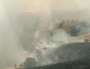 Pütürge’de Orman Yangını: Havadan ve Karadan Müdahale