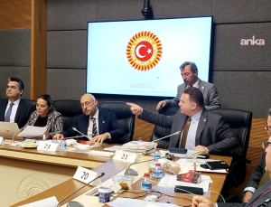 Türkeş’ten Bülbül’e tepki: Dehşet verici