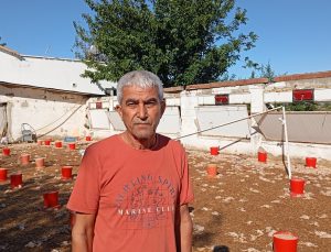 Adana İmamoğlu’nda hortumda yaklaşık 20 bin civciv öldü, çiftlikler zarar gördü