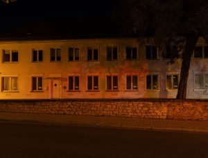 AfD Saksonya-Anhalt’ta Tarihi Zafer Kazandı