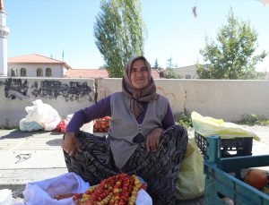 Ankara Çubuk’ta yaban meyveleri pazarlarda kilogramı 80-100 liradan satılıyor