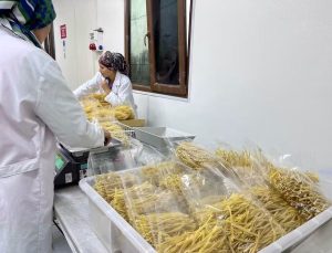 Balıkesir İl Tarım Müdürü Düzgün, Manyas Kulak’ta makarna işletmesini inceledi