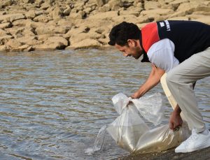 Bayburt’ta göletlere 150 bin sazan yavrusu bırakılarak stoklar güçlendirilecek