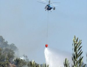 Çanakkale’de zeytinlik alanda çıkan yangına müdahale ediliyor