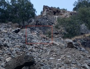 Çüngüş’te yavrularıyla gezen koruma altındaki dağ keçileri cep telefonuna yansıdı