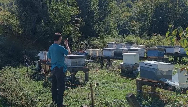 Düzce Yığılca’da arıcılık kayıtları için Yoğunpelit Köyü’nde kovan sayımı yapıldı