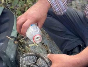 Elazığ Palu’da alevlerden kaçan kaplumbağa vatandaşların suyuyla kurtarıldı