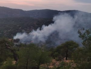 Gaziantep İslahiye’de orman yangını kontrol altına alındı, 4 dönüm alan zarar gördü