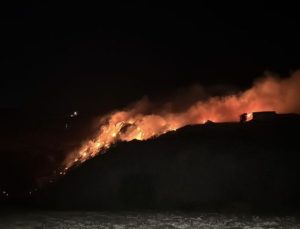 İzmir’de orman yangını