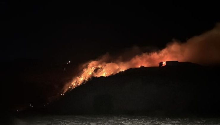 İzmir’de orman yangını