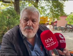 Mersin Mezitli’de şeftali üreticileri 13 lira maliyetli ürünü 10 liraya satamadı