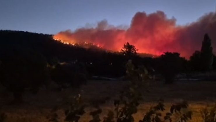Muğla’da orman yangını rüzgarla büyüdü