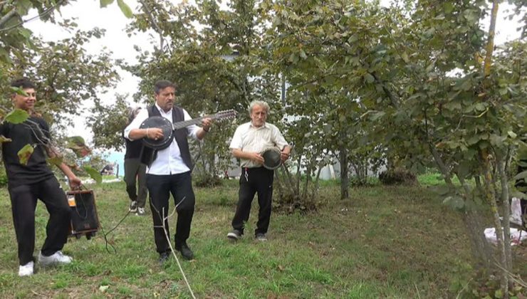 Öğretmen fındık bahçesinde işçilere müzikli moral