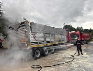 Sakarya Taraklı’da tırın balatasında çıkan yangın dorseye sıçramadan söndürüldü