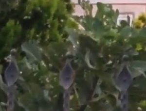 Sakarya’da çatıda elektrik akımına kapılan kişi öldü