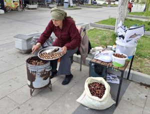 Sinop Erfelek’te kestane hasadı başladı, rekoltede yüzde 50’ye varan artış bekleniyor