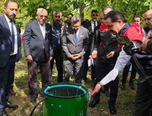 Adilcevaz’ın tescilli cevizinde hasat Vali Karakaya’nın katılımıyla başladı