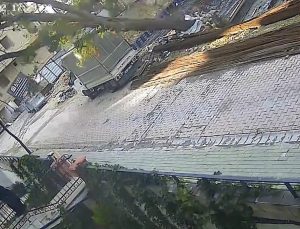 Avcılar’da temel kazısı sırasında rüzgarla devrilen ağaçtan kadın son anda kurtuldu