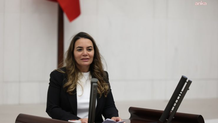 Ayyüce Türkeş Taş, babasının mezarındaki kanunsuzluğa karşı makamları göreve çağırdı