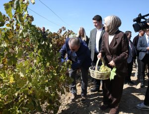 BBP lideri Destici, Eskişehir Günyüzü’nde yaklaşık 820 yıllık köyde üzüm topladı