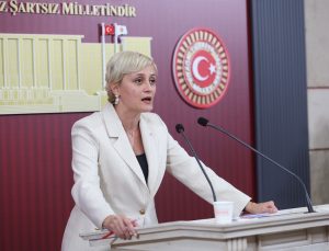 DEM Partili Koca, Sincan Cezaevi’nde tutuklu Kaos GL yöneticileri için tahliye istedi