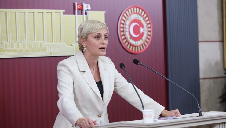 DEM Partili Koca, Sincan Cezaevi’nde tutuklu Kaos GL yöneticileri için tahliye istedi