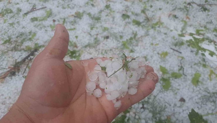 Diyarbakır Silvan’da dolu hayatı olumsuz etkiledi, vatandaşlar saçaklara sığındı