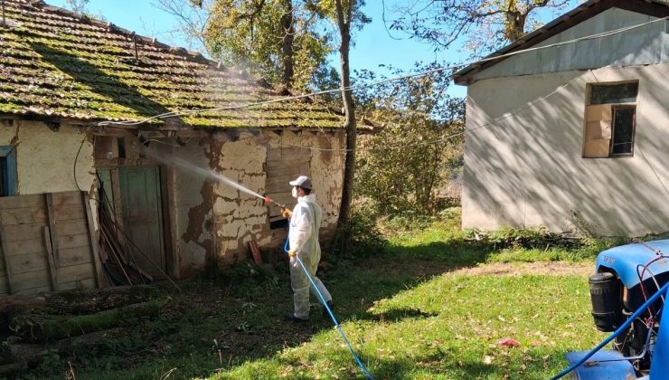 Düzce Kaynaşlı’da Muratbey’de kahverengi kokarcaya karşı kışlak ilaçlaması başlatıldı