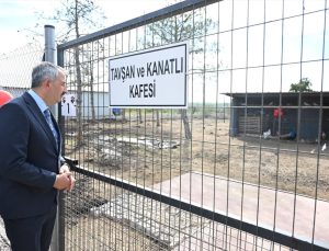 Edirne Valisi Yunus Sezer, Süloğlu’ndaki 42 dönümlük sahipsiz hayvan alanını gezdi