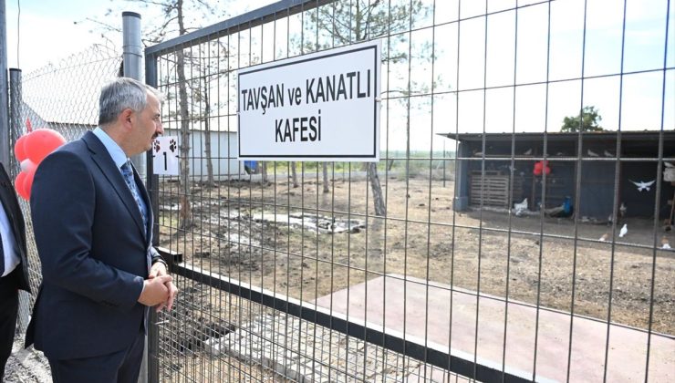 Edirne Valisi Yunus Sezer, Süloğlu’ndaki 42 dönümlük sahipsiz hayvan alanını gezdi
