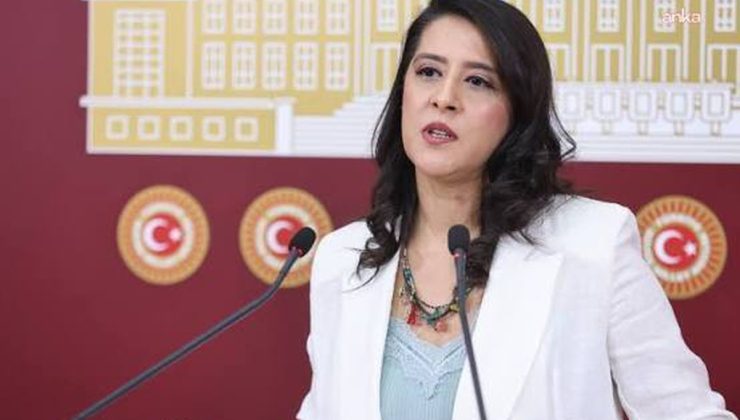 EMEP’li Karaca, gazeteci Okatan’ın tutuklanmasına Bakan Gürlek’ten yanıt istedi
